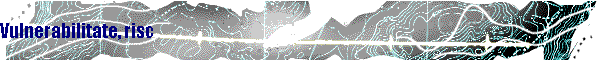 Vulnerabilitate, risc